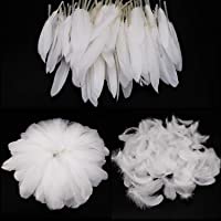 Mwoot White Feathers Plumas de Ganso- 250pcs Blanco Natural Plumas de Gallo Manualidades Decoración para Disfraces Hats…